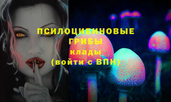 apvp Баксан
