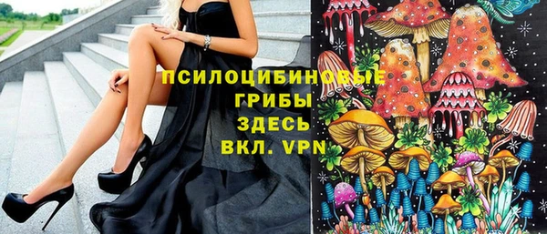 ПСИЛОЦИБИНОВЫЕ ГРИБЫ Беломорск