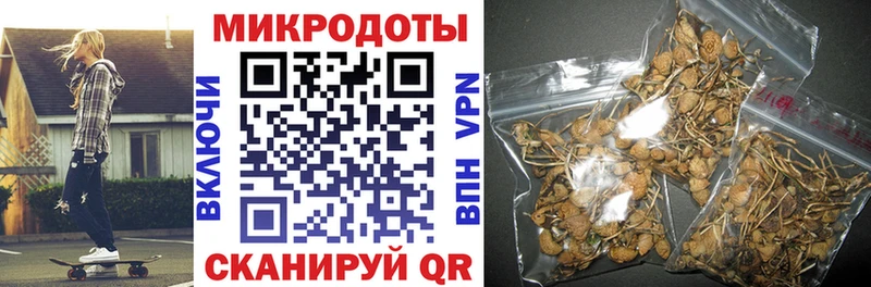 Псилоцибиновые грибы прущие грибы  Вязники 